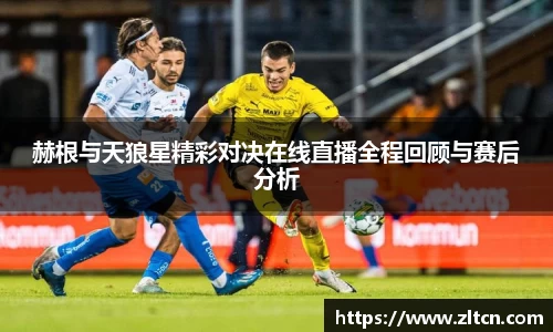 赫根与天狼星精彩对决在线直播全程回顾与赛后分析